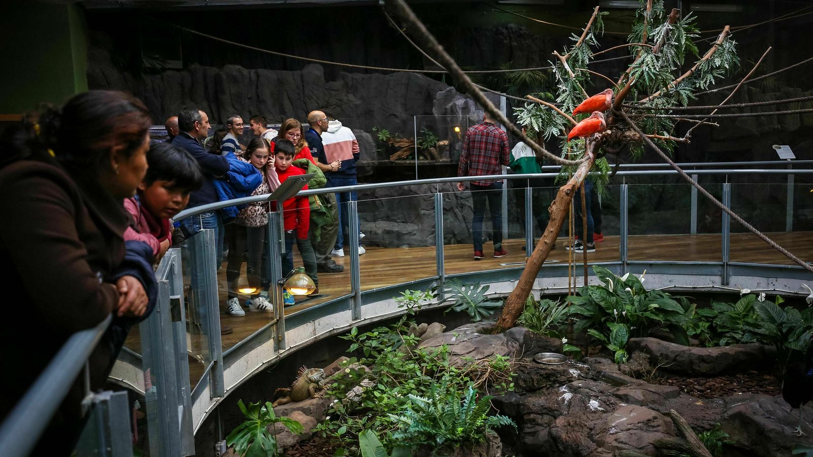 Familias observando animales en el recinto interior del Biodomo