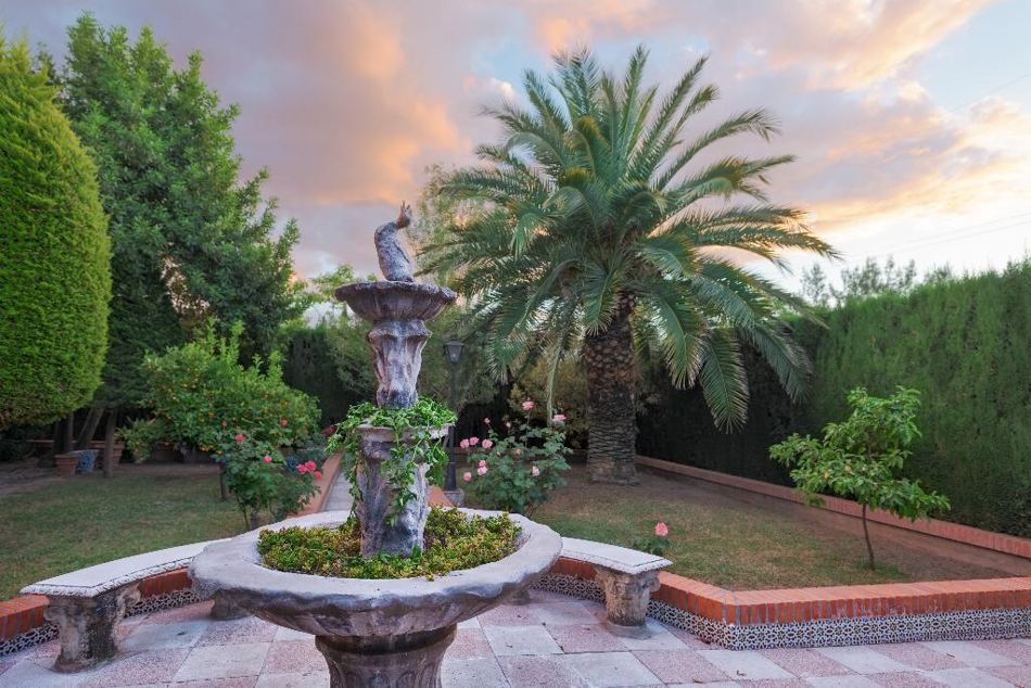 Fuente ornamental, palmera y flores del jardín de Villa Granada Garden